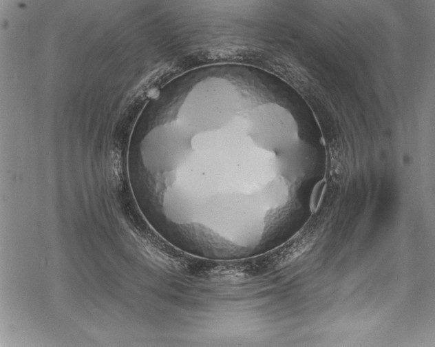 X0000069390648200605150944