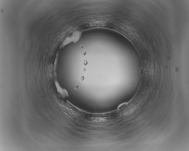 X0000069390649200605150944