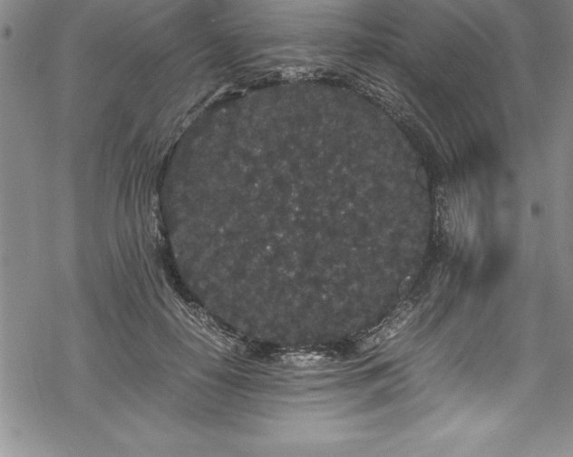 X0000069390650200605150944