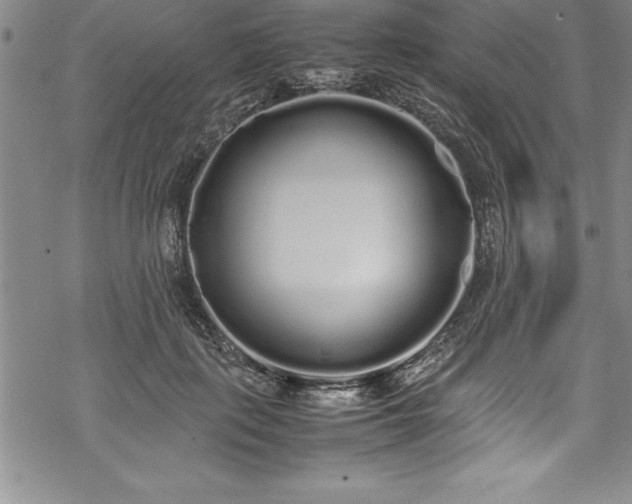 X0000069390651200605150944