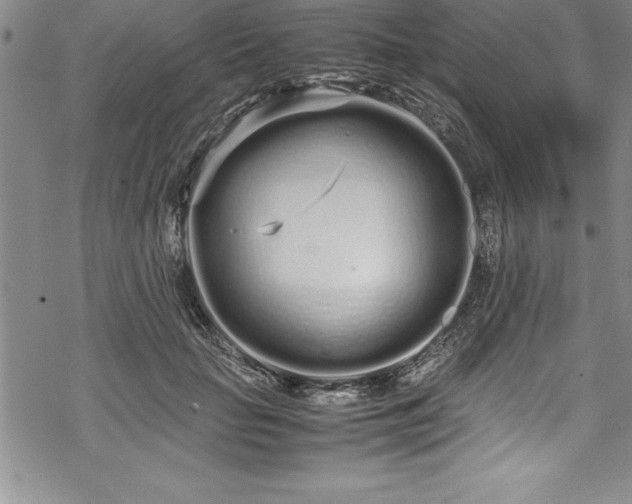 X0000069390653200605150944