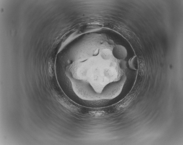 X0000069390654200605150944