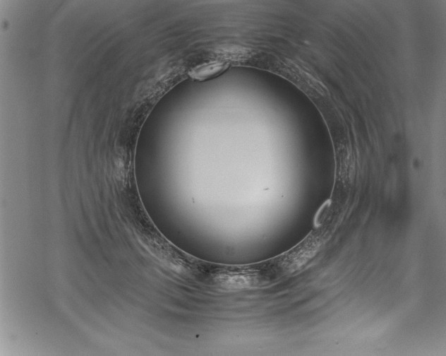 X0000069390655200605150944