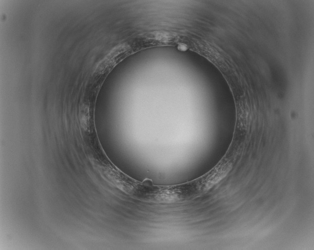 X0000069390656200605150944