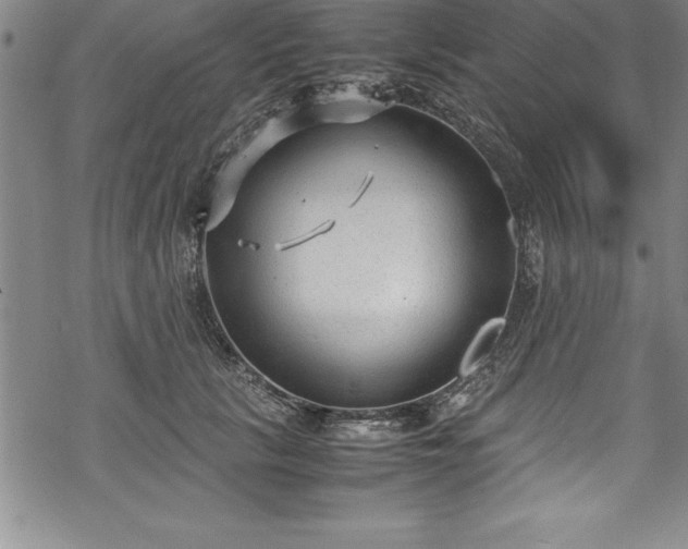 X0000069390657200605150944