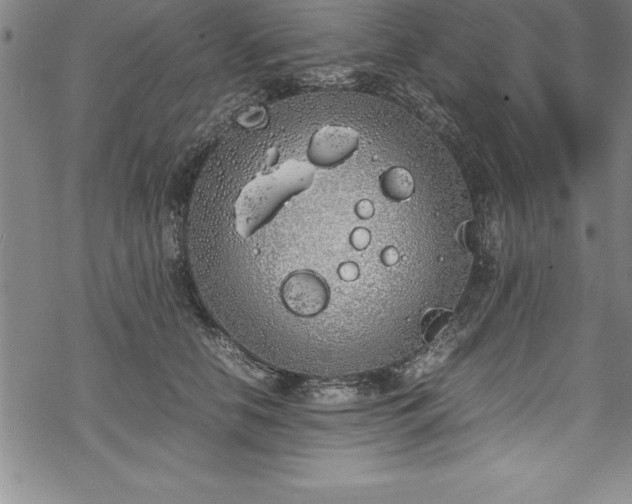 X0000069390658200605150944