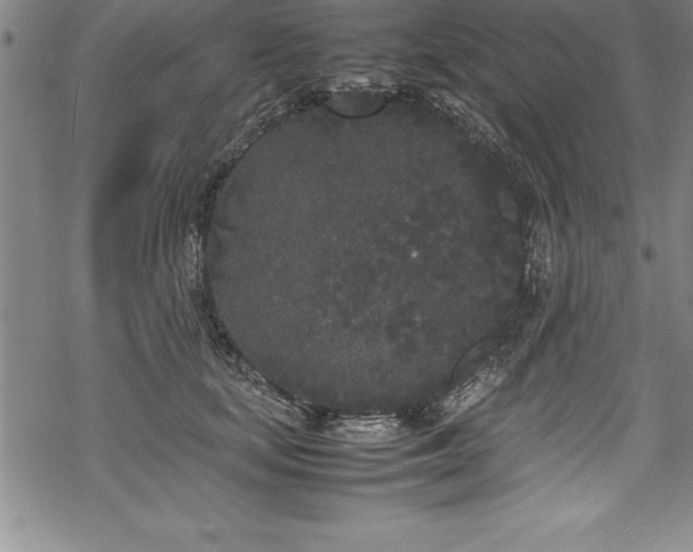 X0000069390659200605150944