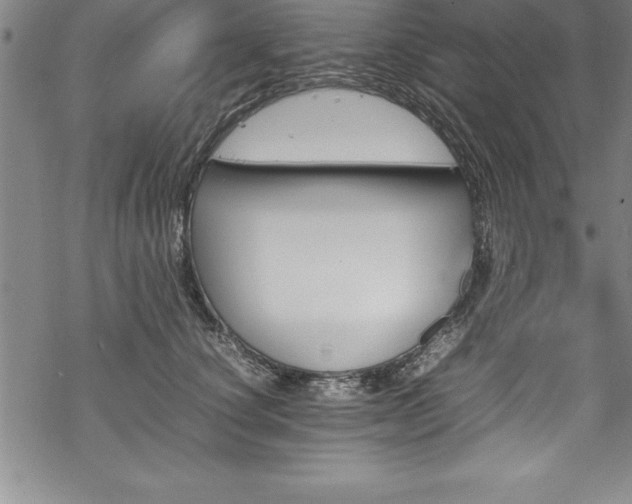 X0000069390660200605150944