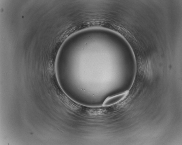 X0000069390661200605150944