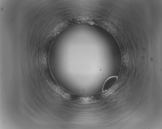 X0000069390662200605150944