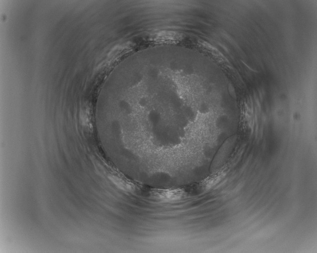 X0000069390663200605150944