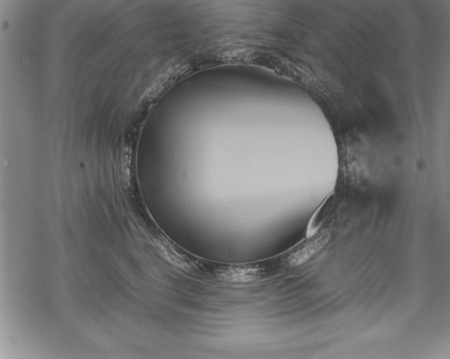 X0000069390664200605150944