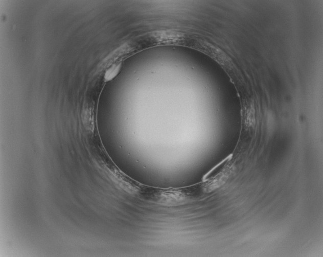 X0000069390666200605150944