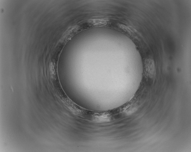 X0000069390667200605150944