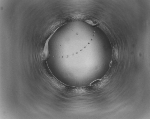 X0000069390668200605150945