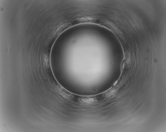 X0000069390669200605150945