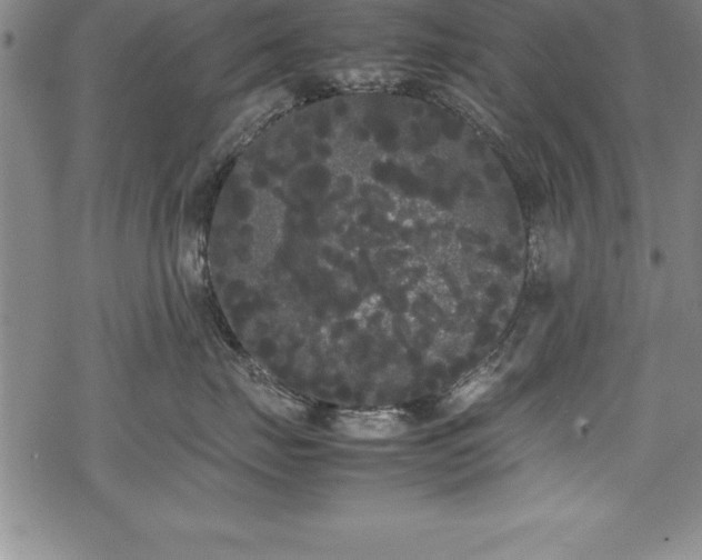 X0000069390671200605150945