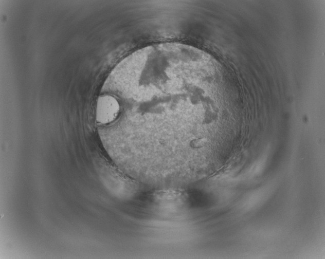 X0000069390672200605150945