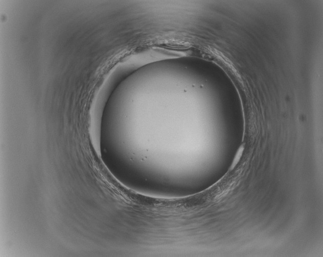 X0000069390673200605150944