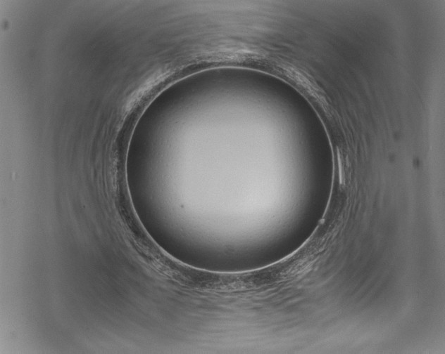 X0000069390675200605150944