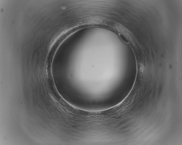 X0000069390676200605150944