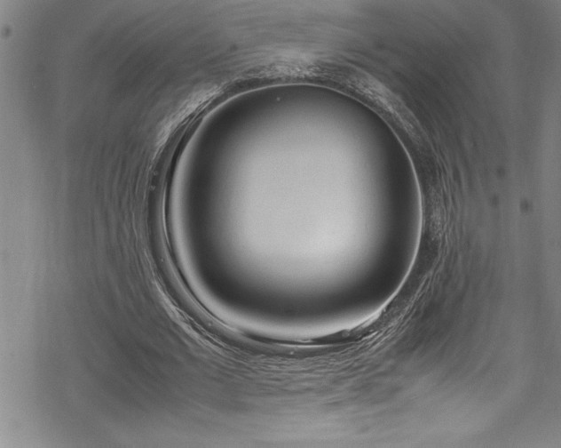 X0000069390677200605150944