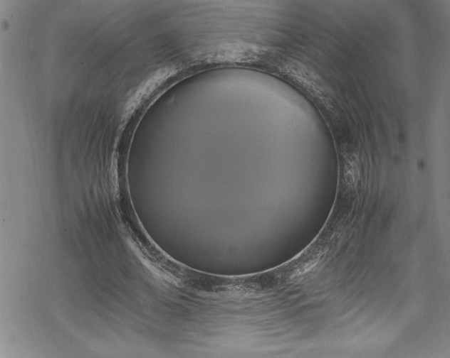 X0000069390678200605150944