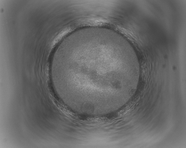 X0000069390679200605150944