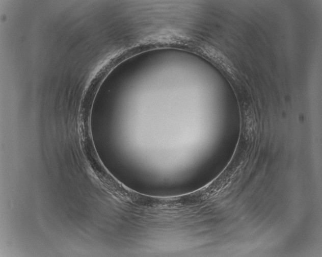 X0000069390680200605150944