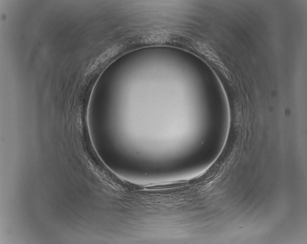 X0000069390681200605150944