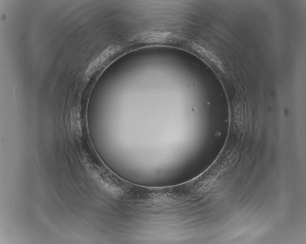 X0000069390682200605150944