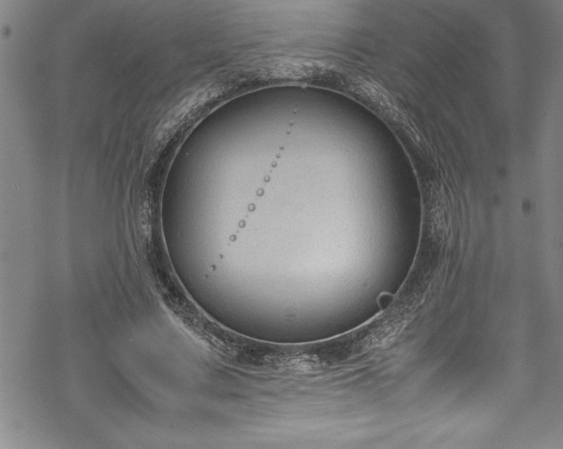 X0000069390683200605150944