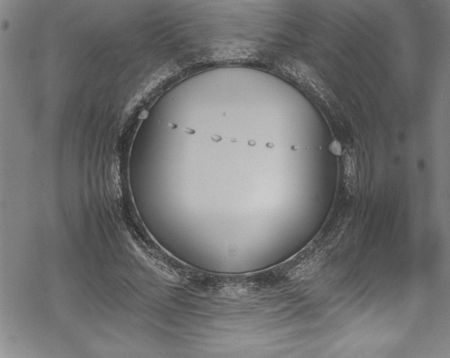 X0000069390684200605150944