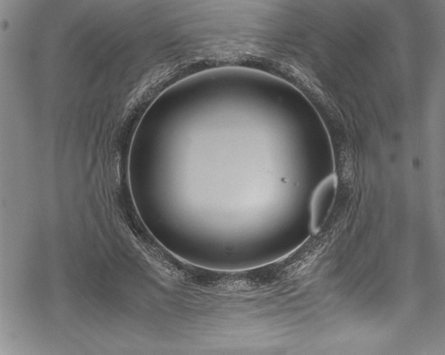 X0000069390685200605150943