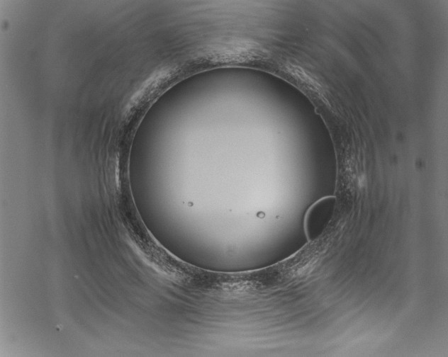 X0000069390686200605150943