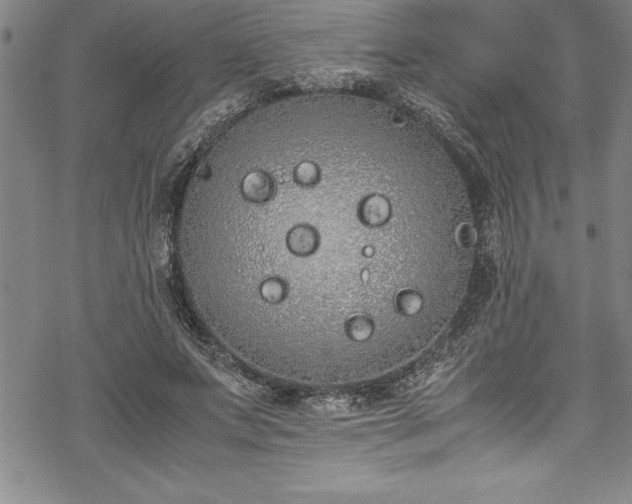 X0000069390687200605150943