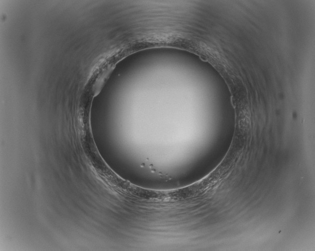 X0000069390688200605150943