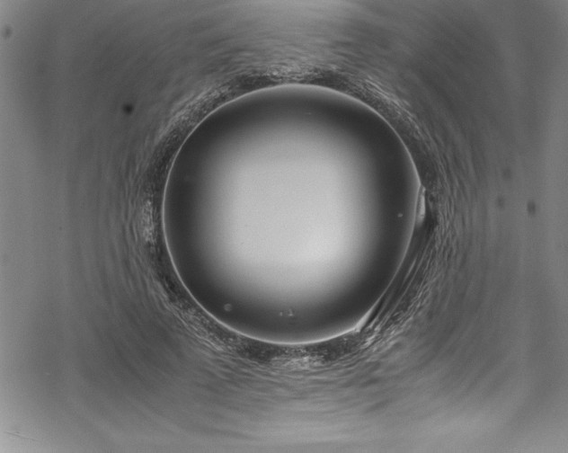 X0000069390689200605150943