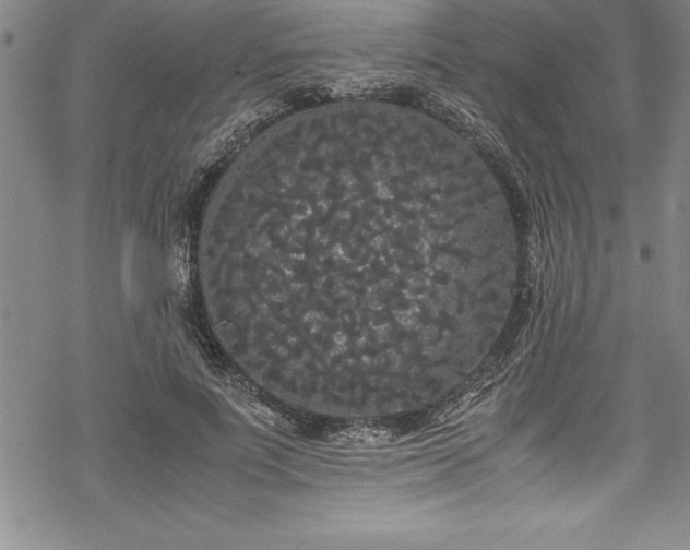 X0000069390691200605150943