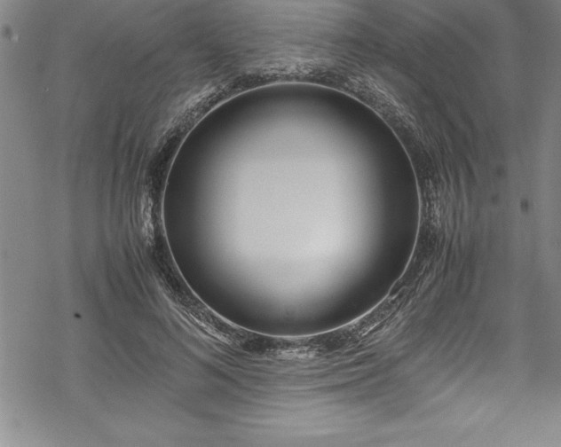 X0000069390692200605150943