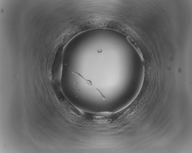 X0000069390693200605150943