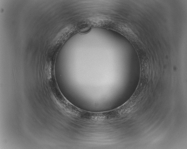 X0000069390694200605150943