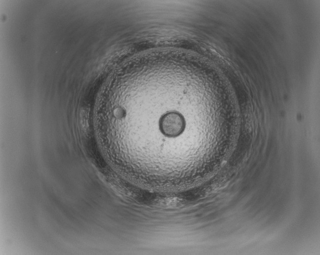 X0000069390695200605150943