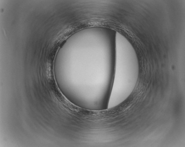 X0000069390696200605150943