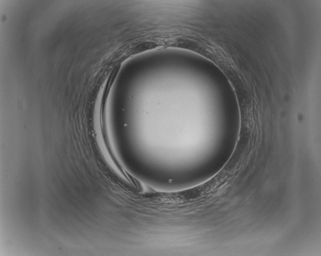 X0000069390697200605150943