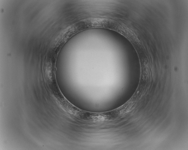 X0000069390698200605150943