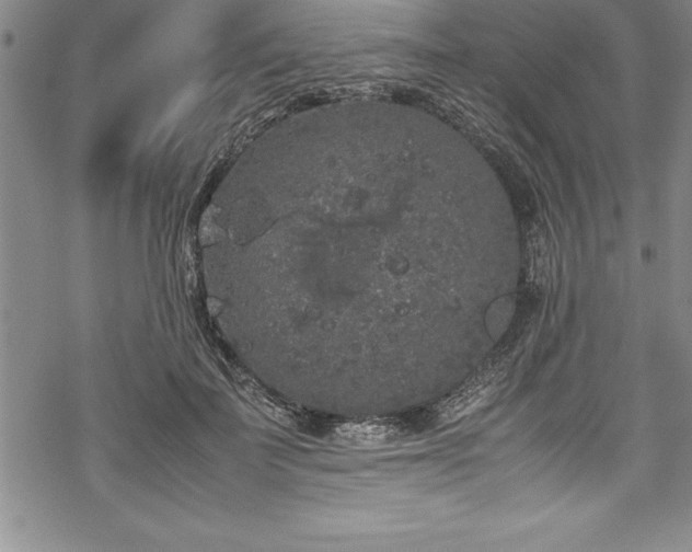 X0000069390699200605150943