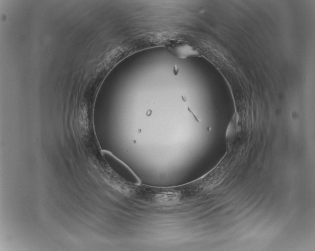 X0000069390700200605150943