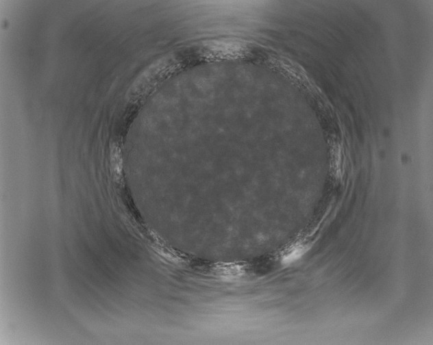 X0000069390701200605150943