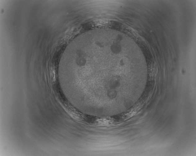 X0000069390703200605150943